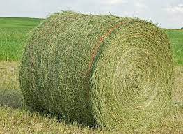 Round Bale (Virtual)