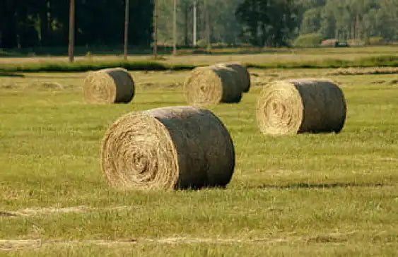 Sponsor 1 Week's Hay ( One 4x5 hay bale)